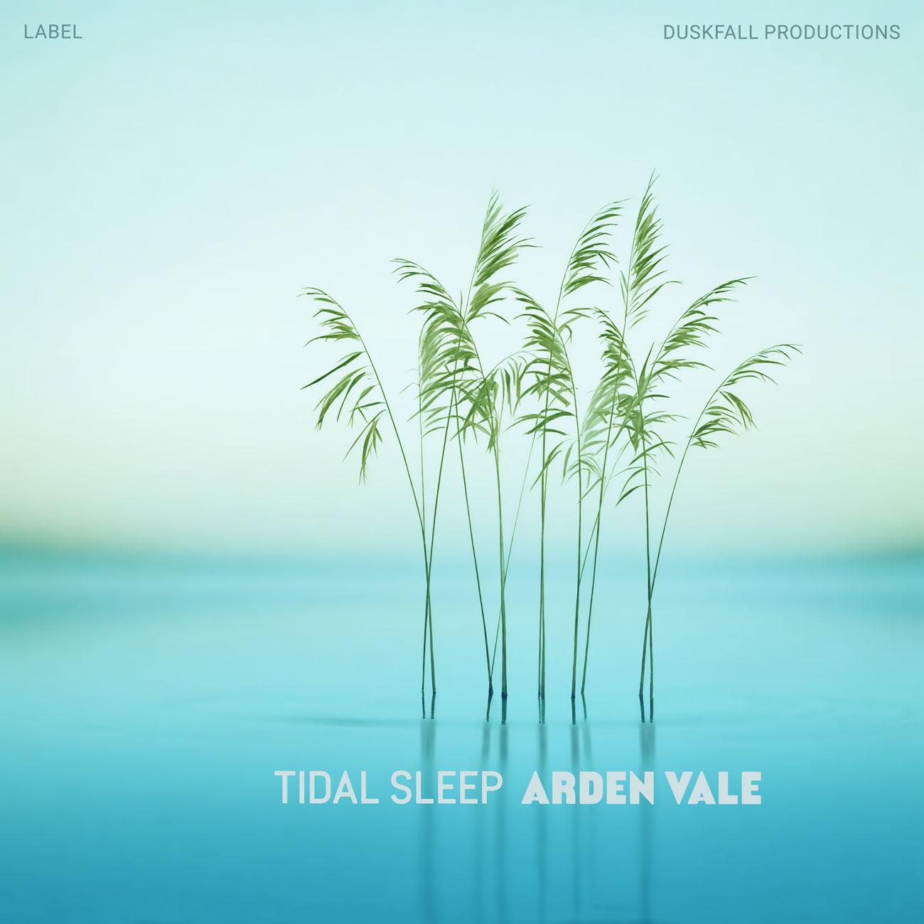 2D view of Premade Indie & Folk Music Album Cover - Jagged Ice #18218 | AlbumArtZone*