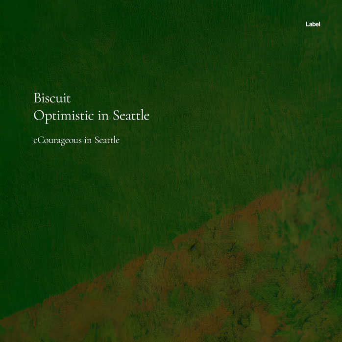 2D view of Premade Contemporary Music Album Cover - Deep Forest Green #20823 | AlbumArtZone*