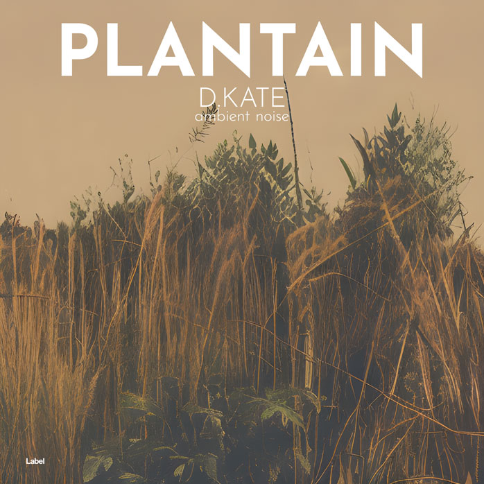 2D view of Premade Country & Acoustic Album Cover - Tobacco Brown #21187 | AlbumArtZone*