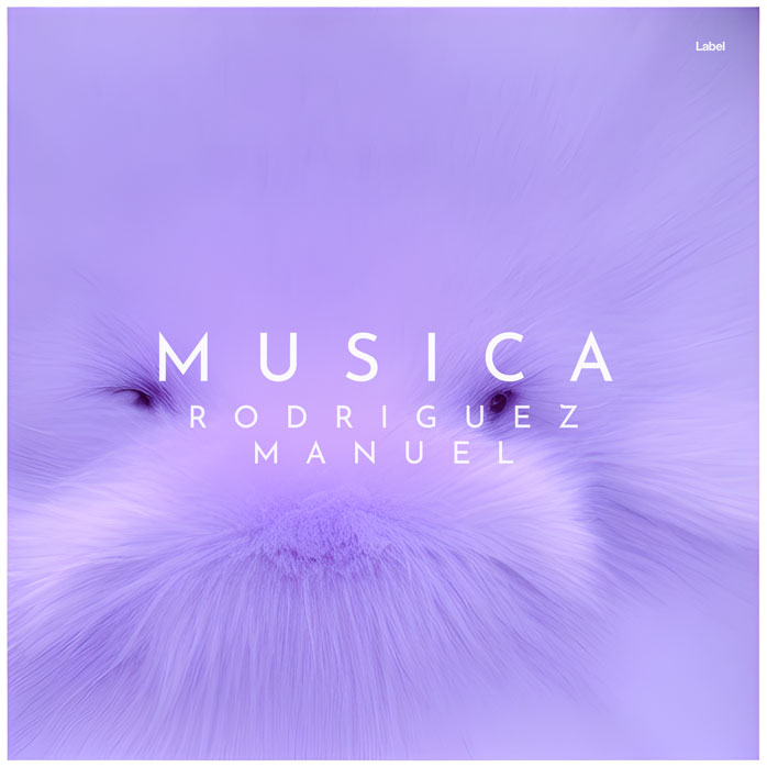 2D view of Premade Dance & House Album Cover - Perano #21190 | AlbumArtZone*
