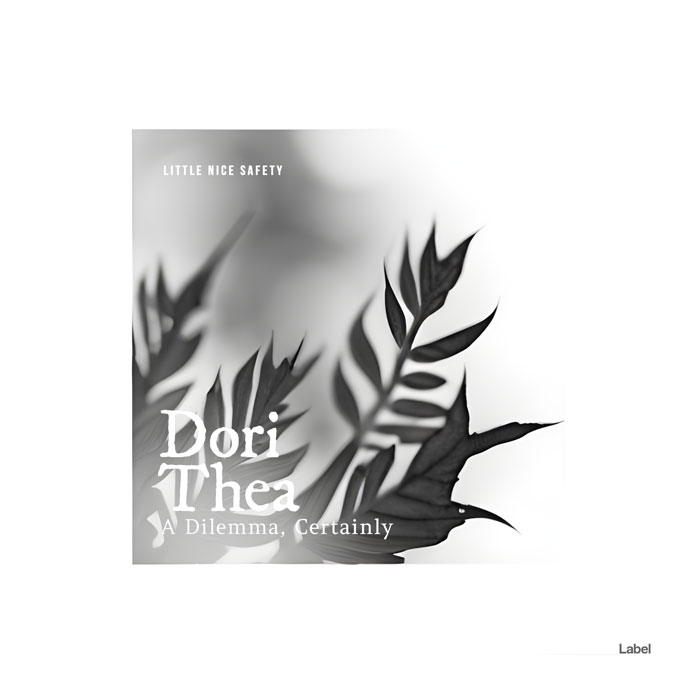 2D view of Premade Pop Album Cover - Gray Nickel #21246 | AlbumArtZone*