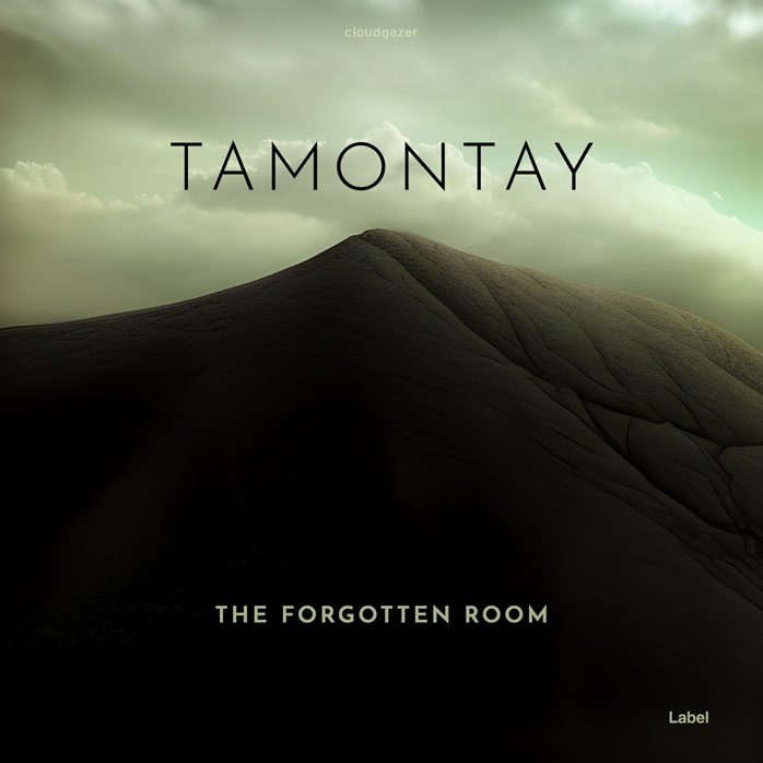 2D view of Premade Pop Album Cover - Rangoon Green #21478 | AlbumArtZone*