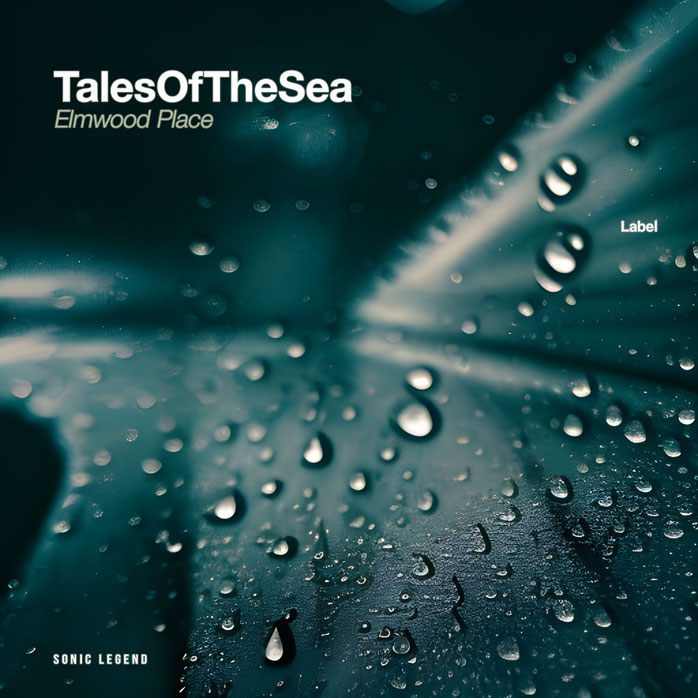 2D view of Premade Pop Album Cover - Firefly #21484 | AlbumArtZone*