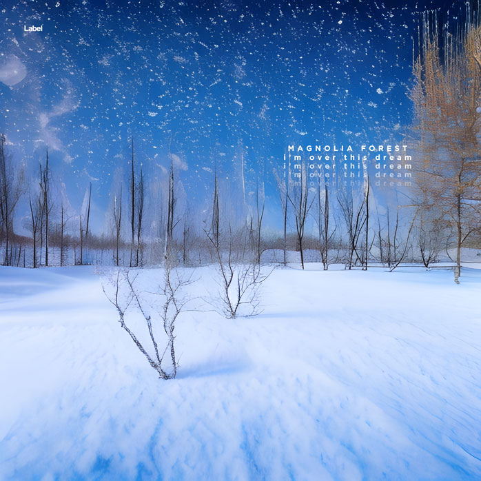 2D view of Premade Country & Acoustic Album Cover - Polo Blue #22028 | AlbumArtZone*