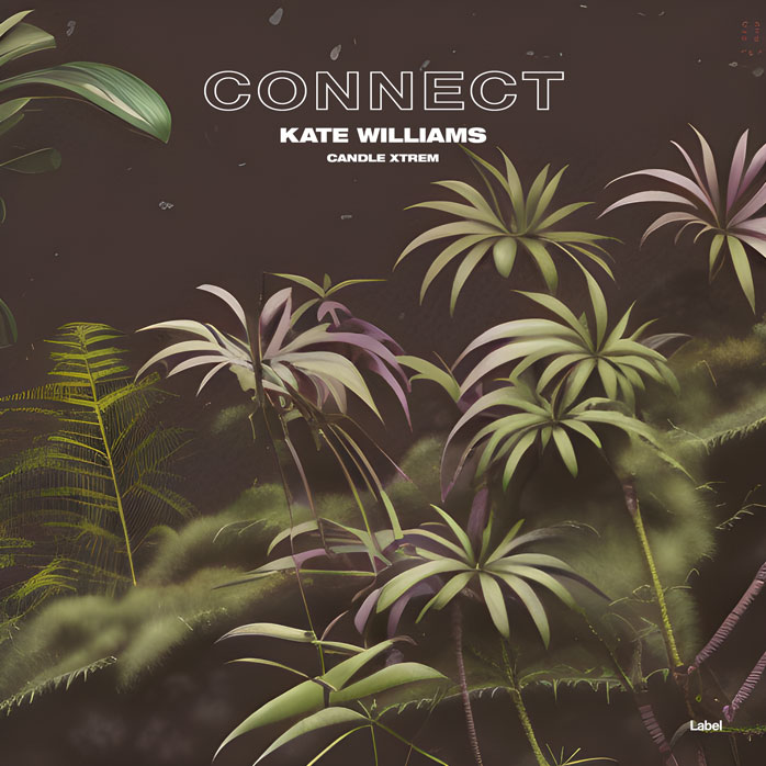 2D view of Premade Pop Album Cover - Taupe #22090 | AlbumArtZone*