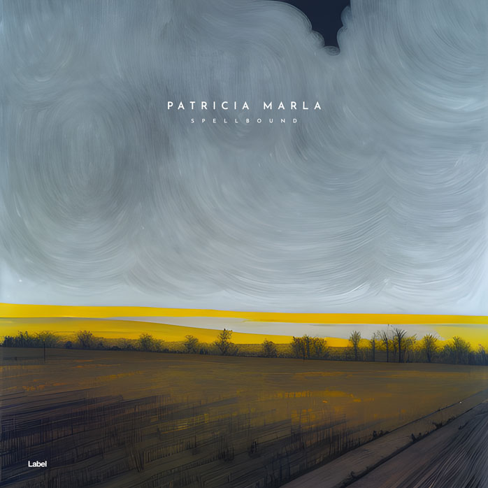 2D view of Premade Electronica & Ambient Album Cover - Regent Gray #22109 | AlbumArtZone*