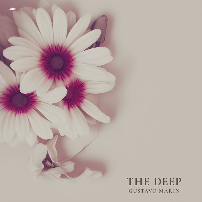 2D view of Premade Pop Album Cover - Tea #22214 | AlbumArtZone*