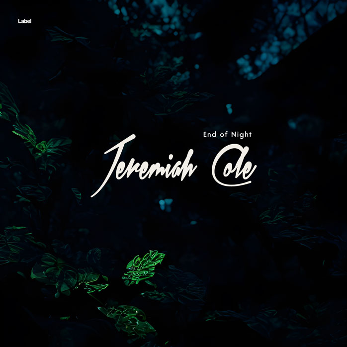 2D view of Premade Electronica & Ambient Album Cover - Ebony #22281 | AlbumArtZone*