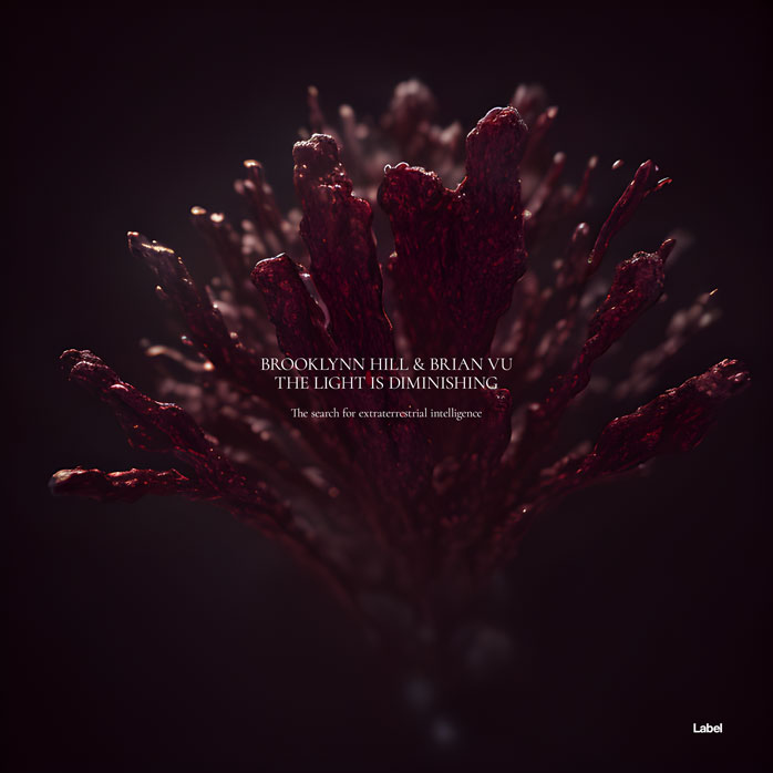 2D view of Premade Contemporary Music Album Cover - Tamarind #22354 | AlbumArtZone*