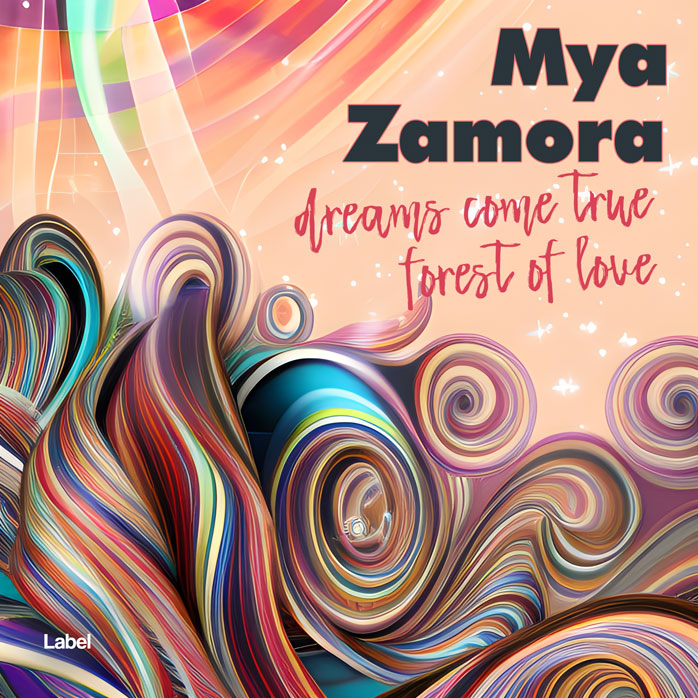 2D view of Premade Pop Book Cover - Cashmere #22818 | AlbumArtZone*