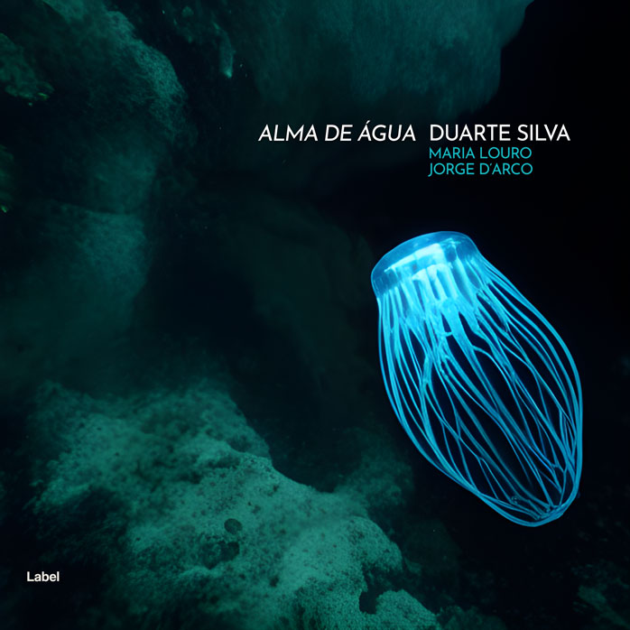 2D view of Premade EDM, House & Dub Album Cover - Black Pearl #23490 | AlbumArtZone*