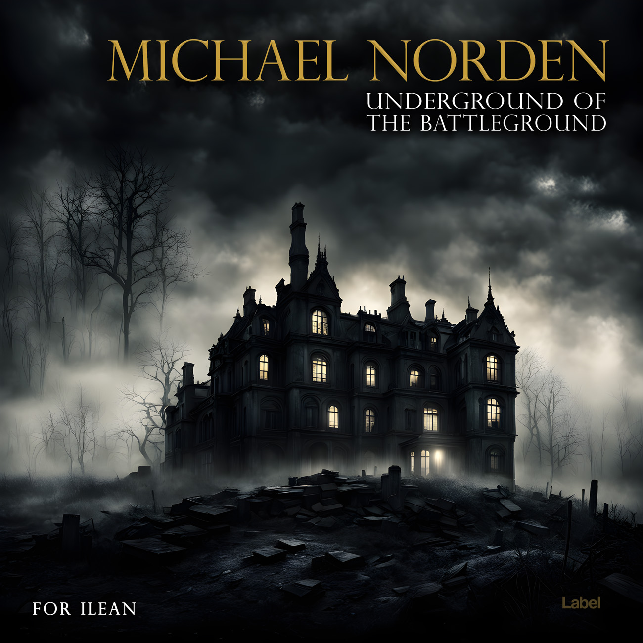 2D view of Premade Electronica & Ambient Book Cover - Woodsmoke #23946 | AlbumArtZone*