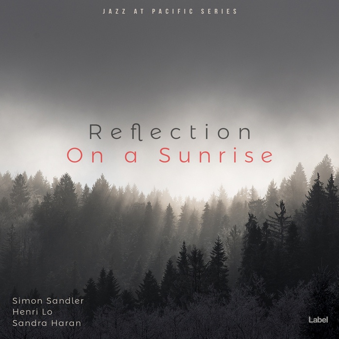 Premade Book Cover Dove Gray