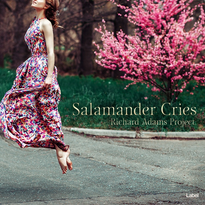 Premade Book Cover Cape Cod