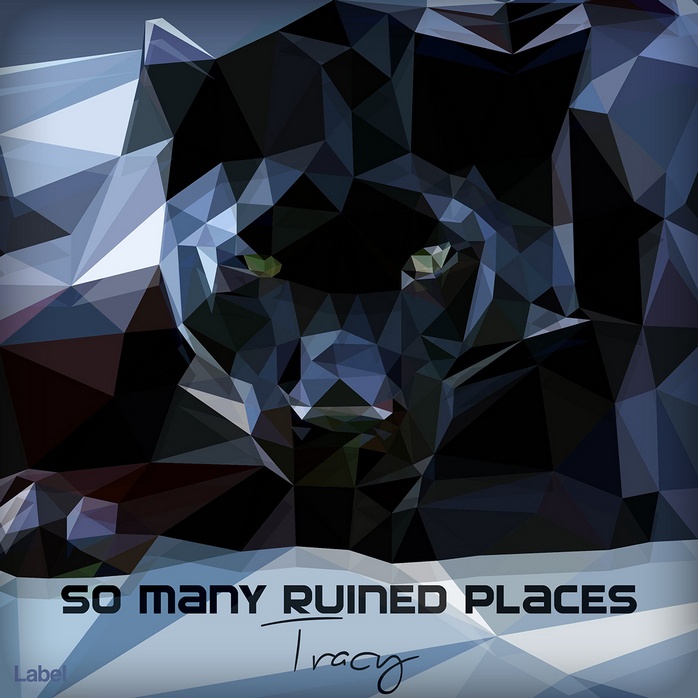 Premade Book Cover Mirage