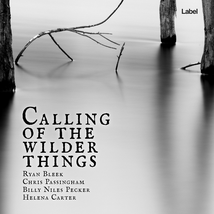Premade Book Cover Silver