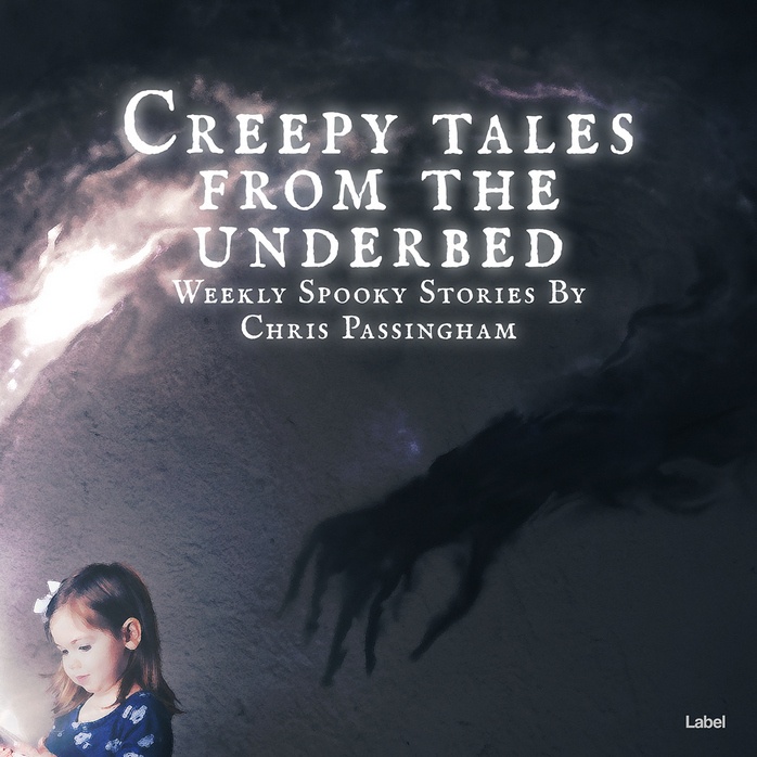 Premade Book Cover Charade