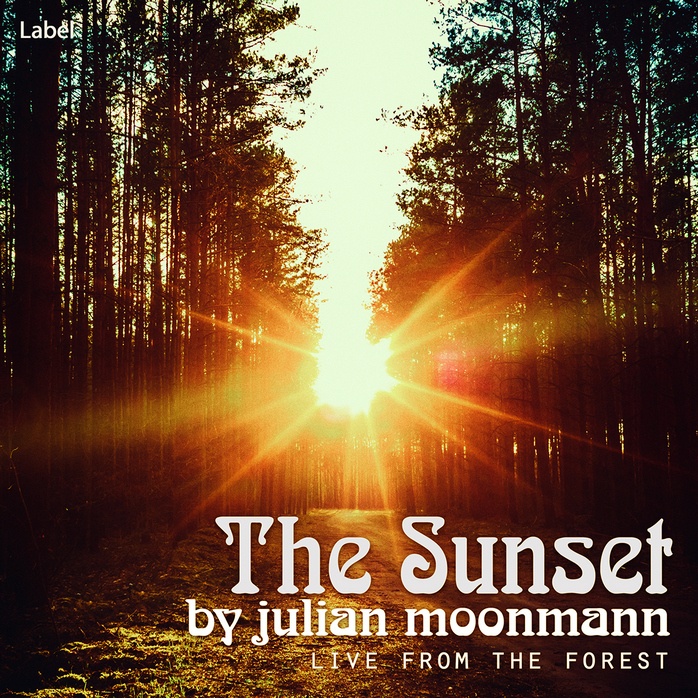 Premade Book Cover Calico