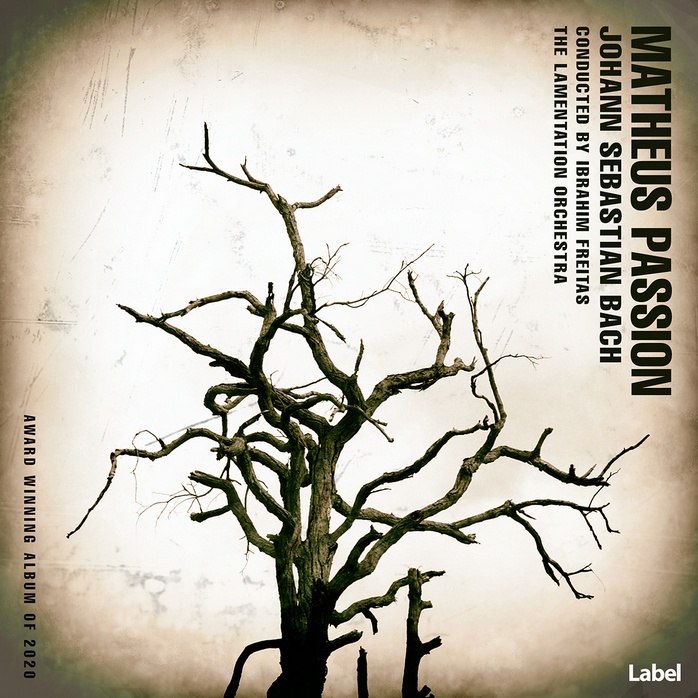 Premade Book Cover Black Olive