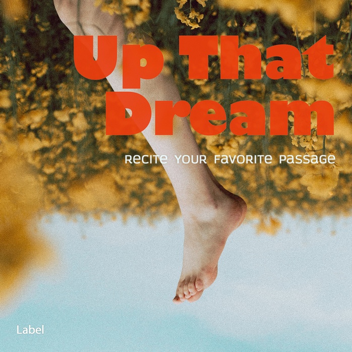 Premade Book Cover Copper