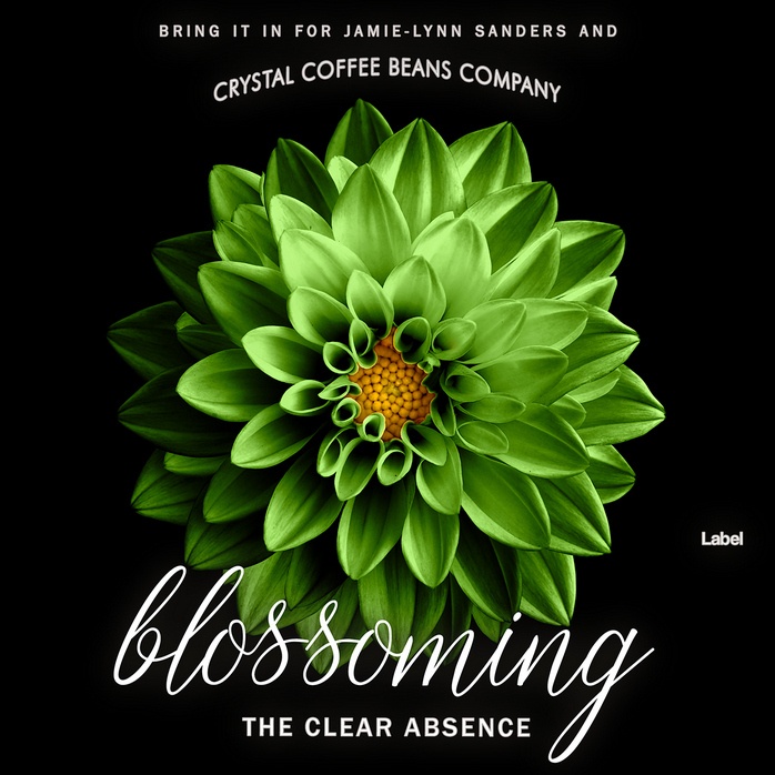 Premade Book Cover Black Forest