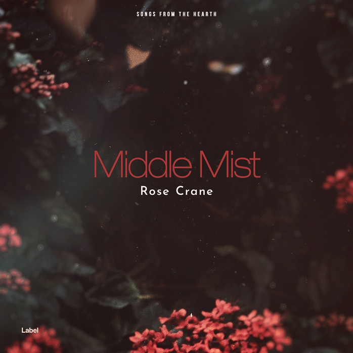 Premade Book Cover Cocoa Brown