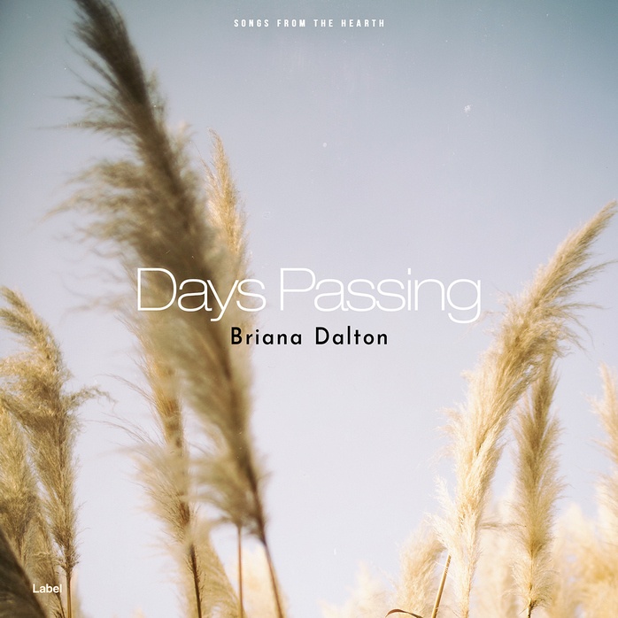 Premade Book Cover Swirl