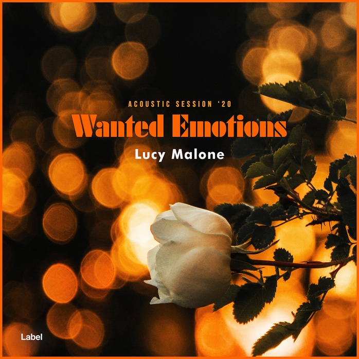 Premade Book Cover Sambuca