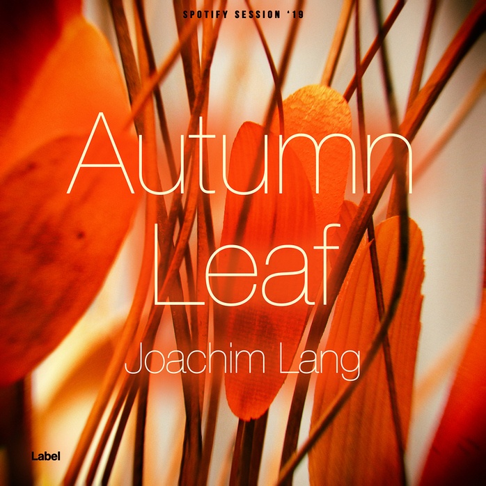 Premade Book Cover Tia Maria