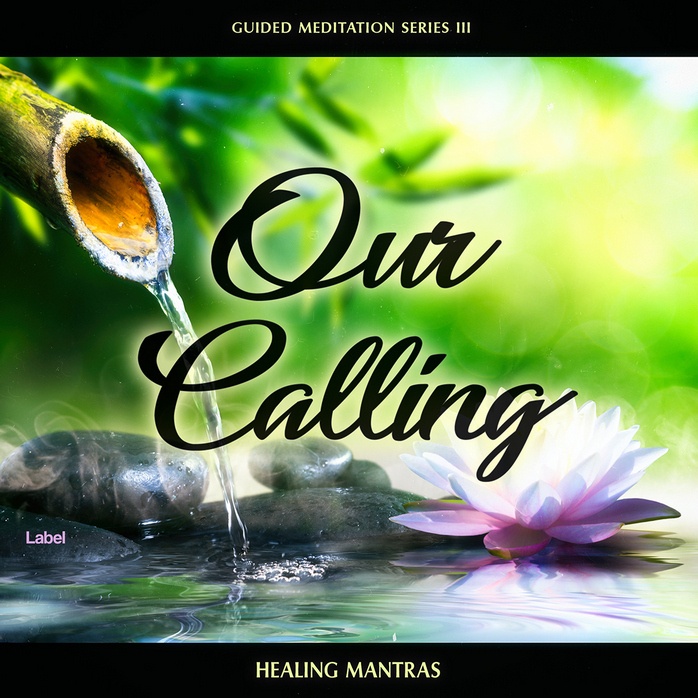 Premade Book Cover Caper