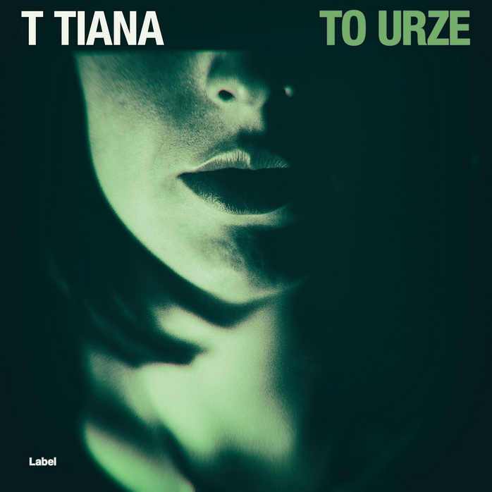 Premade Book Cover Tiber