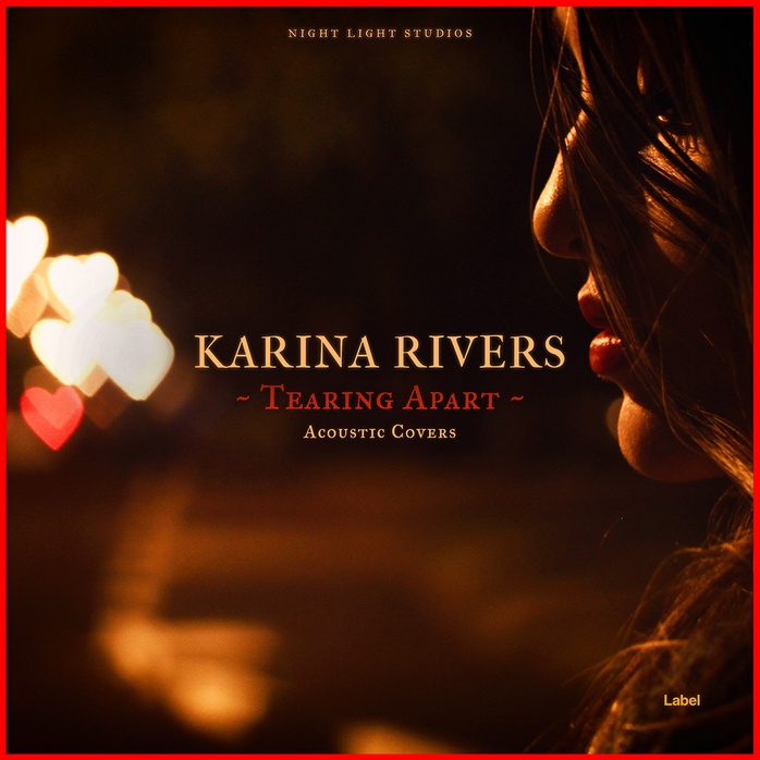 Premade Book Cover Burnt Sienna