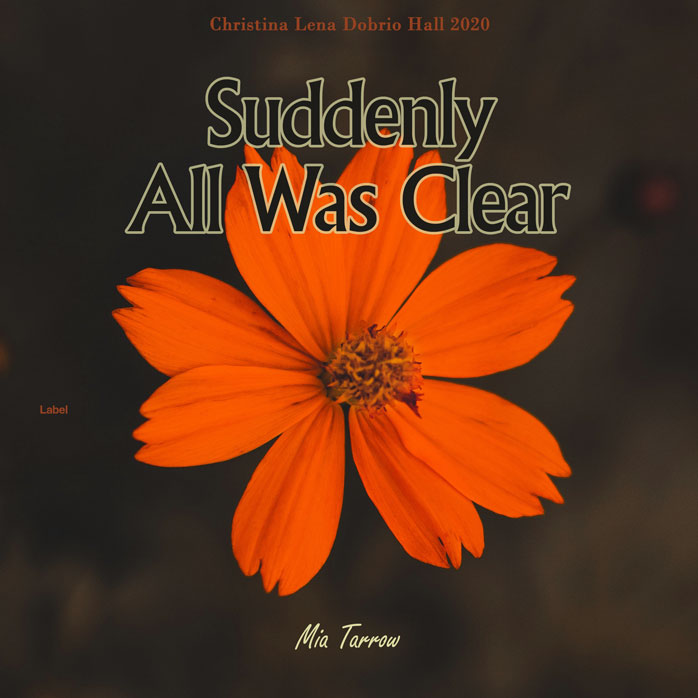 Premade Book Cover Christine