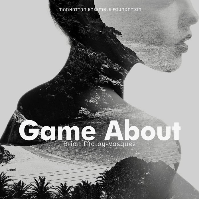 Premade Book Cover Gray Nickel