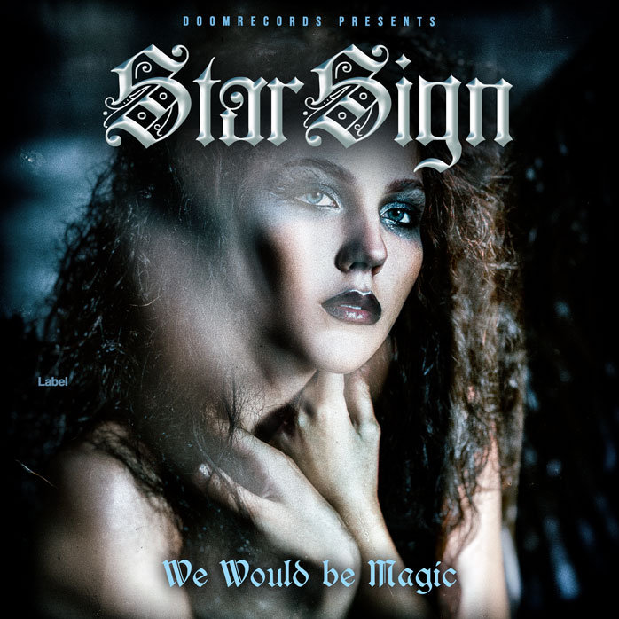 Premade Book Cover Silver