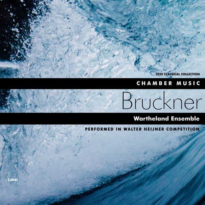 Premade Book Cover Rock Blue