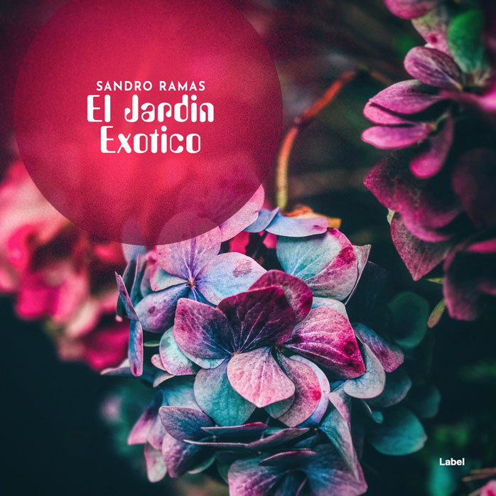 Premade Book Cover Cranberry