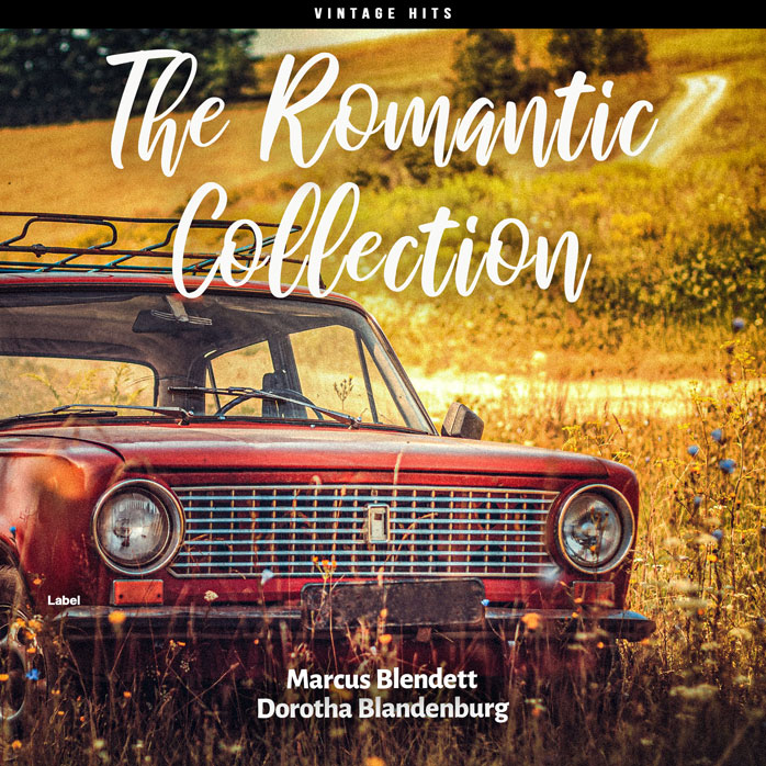 Premade Book Cover Copper