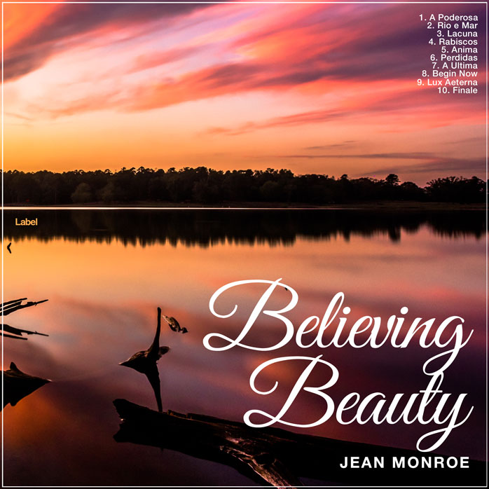 Premade Book Cover Japonica