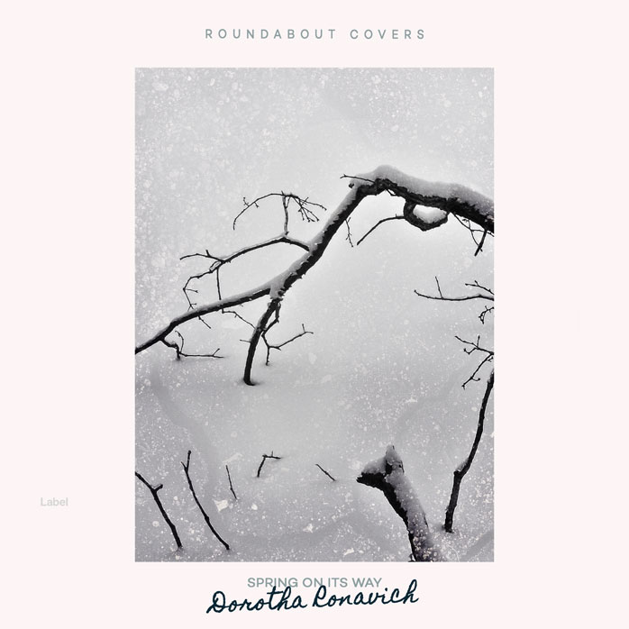 Premade Book Cover Ebb