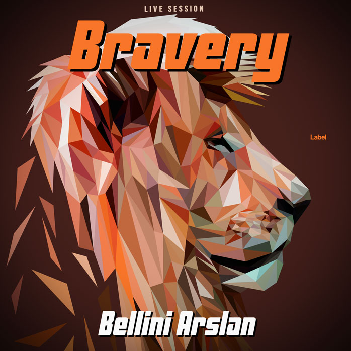 Premade Book Cover Cocoa Bean