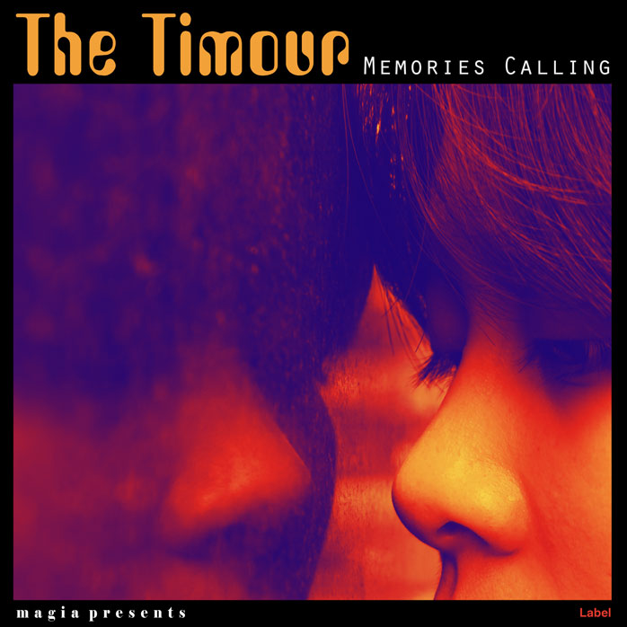 Premade Book Cover Jagger