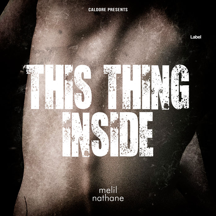 Premade Book Cover Silk