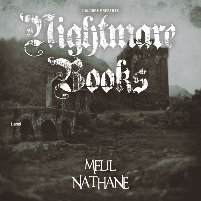 Premade Book Cover Armadillo