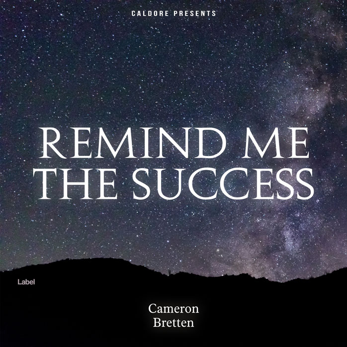 Premade Book Cover Charade