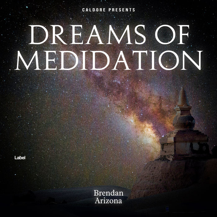 Premade Book Cover Dune