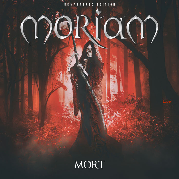 Premade Book Cover Merlin