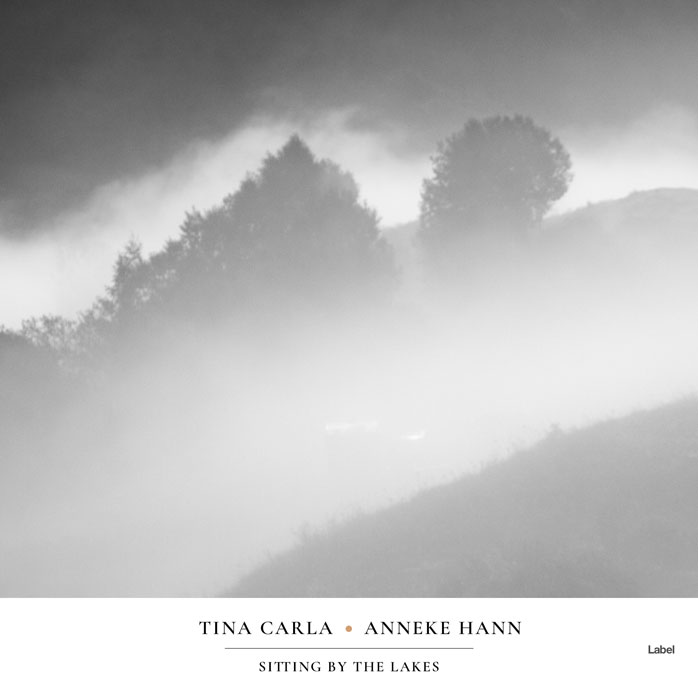 Premade Book Cover Silver