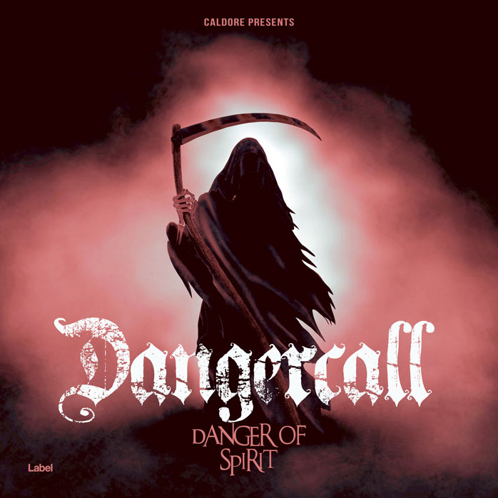 Premade Book Cover Puce