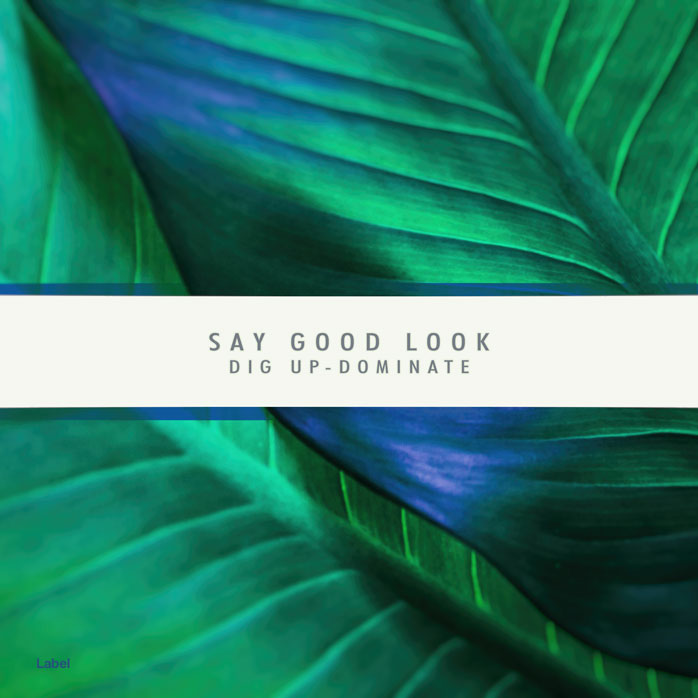 Premade Book Cover Deep Sea Green